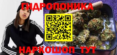 spice Обь