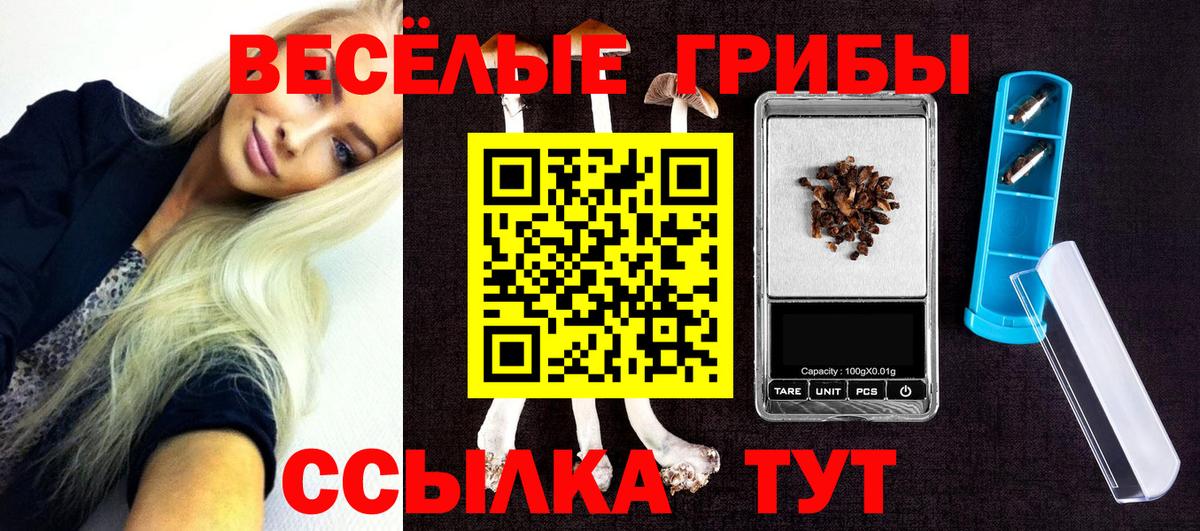 Псилоцибиновые грибы прущие грибы Ставрополь