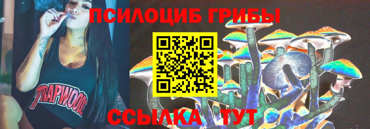 Псилоцибиновые грибы ЛСД  Вход с VPN  где можно купить   Ставрополь 